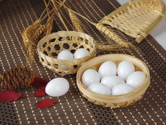 10Pcs Solid Parrot Plastic Fake Eggs Realistic, Simulated Fake Bird Eggs for Hat