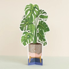 Stand-Up Paper Plant – Monstera by Seltzer Goods