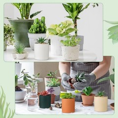 WILLBOND 50 Pcs Bulk Mini Artificial Succulents Plants Assorted Normal Style