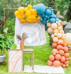 Here Comes the Son Balloon Arch Garland Kit 149pcs for Retro Sun Baby Shower …