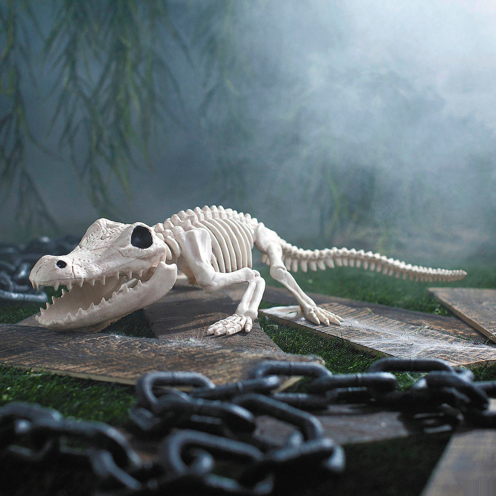13 1/2″ Crocodile Skeleton Halloween Decoration – Morris Costumes