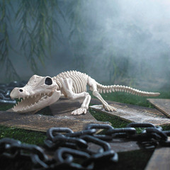 13 1/2″ Crocodile Skeleton Halloween Decoration – Morris Costumes