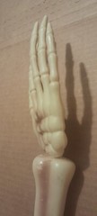 1pcs Skeleton Hands Decor cosplay Funny Halloween Skull Arm Hands free ship