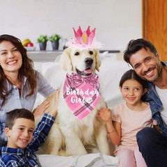 Luxurious Dog Birthday Crown Set – Hat, Bow Tie & Bandana Costume for Large Dogs