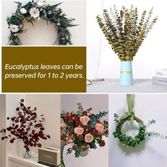 20 PCS Dried Eucalyptus Stems, 17» Natural Real Live Yellow