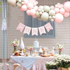 One Silly Goose First High Chair Banner – Pink Gingham One Silly Goose 1St Birth