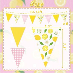 6PCS Lemon Party Decorations Pennant Banners Pink and Yellow Triangle Flags G…