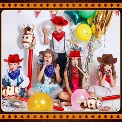 Western Themed Costume Accessories
