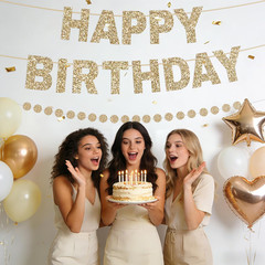 Alynta Happy Birthday Banner Pre-Strung Glitter Birthday Party Decorations NO DI