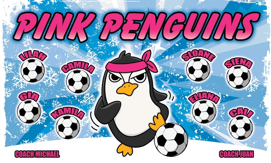 Pink Penguins -Soccer Team Banner – (3ft x5ft) Your Team Name and Custom Design