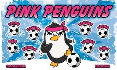 Pink Penguins -Soccer Team Banner – (3ft x5ft) Your Team Name and Custom Design