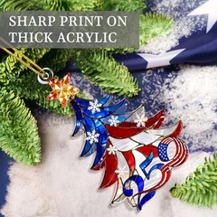 250 Anniversary USA Ornament – 2D Acrylic – USA 250 Merchandise – USA 250