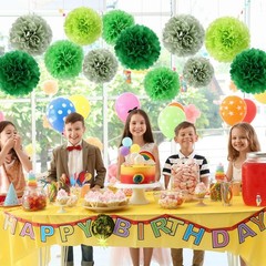 16 PCS Green Tissue Paper Pom Poms Flowers Groovy Birthday Party Decor