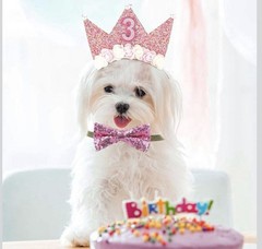 Birthday Decorations for 3 Year Old- Headband And Sash-Pink. Free Ship!