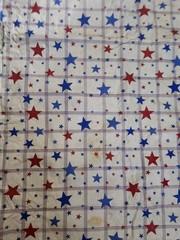 Patriotic Decorations Patriotic Bow, Tinsel Star, Tablecloth, Window Clings…..