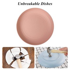 CAMBUY Wheat Straw Plates Lightweight Unbreakable Small, Small Multicolour
