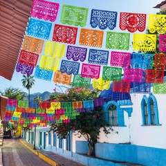 10 Pack Mexican Party Decorations, 180 FT Fiesta Banner 10 PCS, Colorful