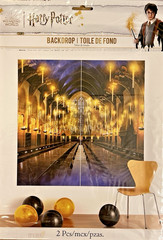 Hogwarts Harry Potter Wizarding World Kids Birthday Party Decoration Backdrop NE