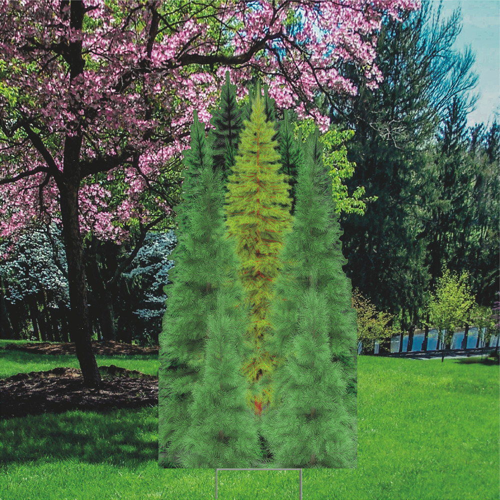 YS3011 Nature Tree Group Forest Plastic Outdoor Yard Sign Lawn Sign Decoration C