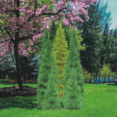 YS3011 Nature Tree Group Forest Plastic Outdoor Yard Sign Lawn Sign Decoration C