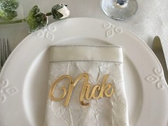 Personalized Wedding Place Cards Acrylic Table Name Calligraphy Wedding Any Font
