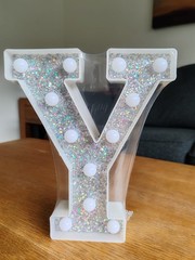 LED Light Up Marquee Letter Y Sign – Silver/White Glitter Plastic