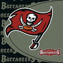 Tampa Bay Buccaneers NFL Lunch Napkins 16 per pack FREE SHip – NEW