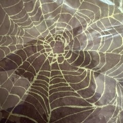 Spider Web Party Napkins 20 Ct X 3 Packs Halloween Party Decor Target Threshold