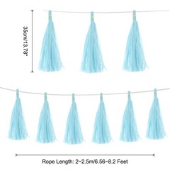 40Pcs Light Blue Tassel Garland Banner with Rope