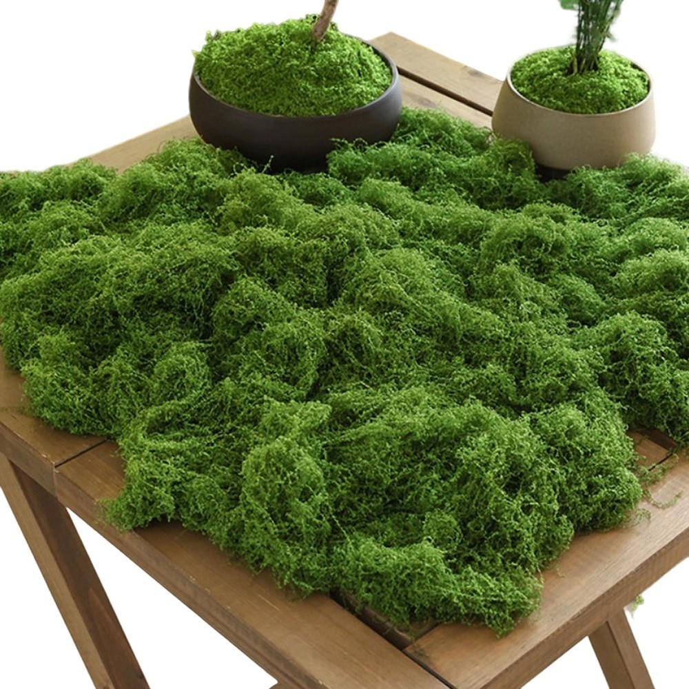 Artificial Moss Grass Mat 200g for Miniature Landscaping Model and Terrarium