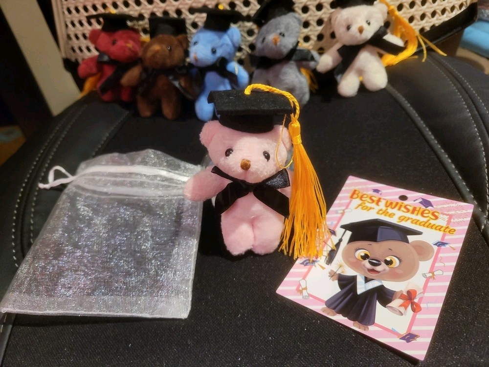 One Mini Teddy Keychain Plush Pink Graduaction Bears With Card & White Gift Bag