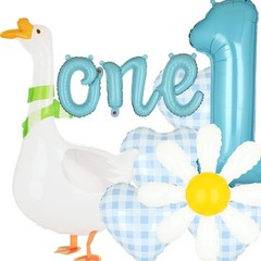 Silly Goose Decorations Walking Silly Goose Balloon Daisy Balloons Boys Baby …