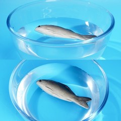 6PCS Fake Fish Artificial Halloween Mode Sea Fish for Kitchen Home Market Dis…