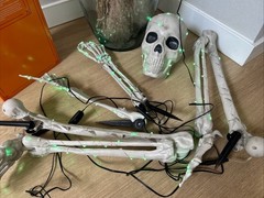 5pc Light Up Skeleton Parts Stake Halloween Decoration Outside Prop Hyde & EEK