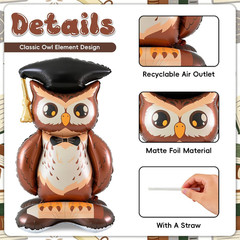 Class of 2026 Graduation Balloon, Large Size Standing Owl Foil Balloon, Self Sta
