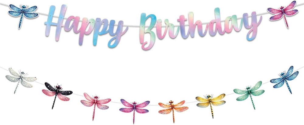 Dragonfly Happy Birthday Banner Iridescent Insect Sign Hanging Paper Birthday Pa