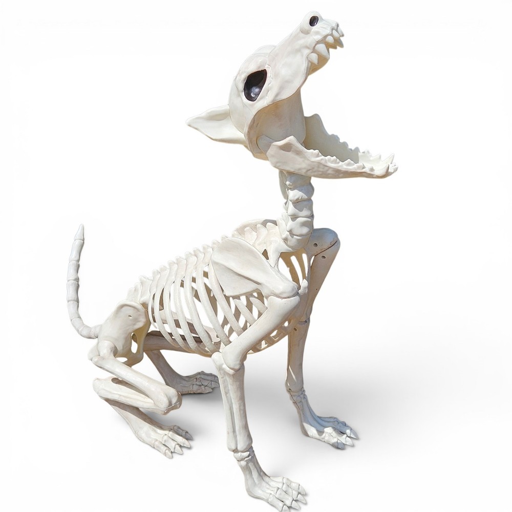 Large Crazy Bonez Skeleton Wolf Halloween Decoration Poseable Static Display Pro