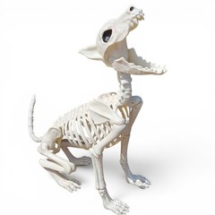 Large Crazy Bonez Skeleton Wolf Halloween Decoration Poseable Static Display Pro
