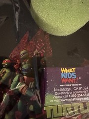 TMNT Teenage Mutant Ninja Turtles Birthday Party Decorations Supplies Lot