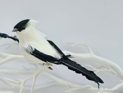 3 Artificial Black White Feather Fake Clip Birds Home Decoration Craft Art Model