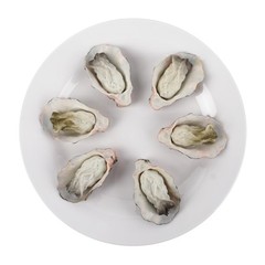 Artificial Oysters, 6 Pcs Simulate Fake Realistic Oyster Models for Home Kitc…