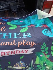 Hop, Crawl, Slither And Play Happy Birthday Reptile Banner 5 X 3.5