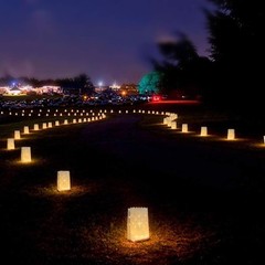 White Luminary Bags Upgraded Moisture-Proof Candle Bags Stars Design Luminaries