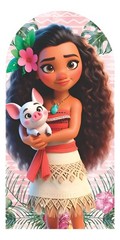 Popular movies Moana 2 Arch Backdrop Cover Birthday Party background Decorations