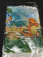 Pokemon Birthday Party Decorations Pikachu Charmander New Banner Plates