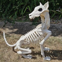 Large Crazy Bonez Skeleton Wolf Halloween Decoration Poseable Static Display Pro