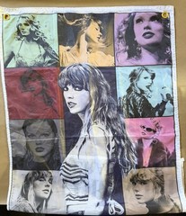 Taylor Swift Eras Tour Photo Background Banner Flag 3’x2’ Colorful Art Deco