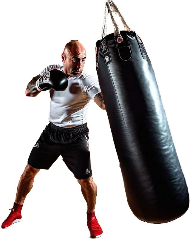 Joe Rogan Kick Boxing Inspired Fan Art