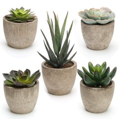 Coitak Artificial Succulent 2.75 inches (height) x 2.5 (width), Green