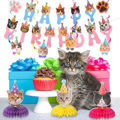 16 Pcs Cat Theme Birthday Party Decorations Party Supplies Kit, Includes Cat Par